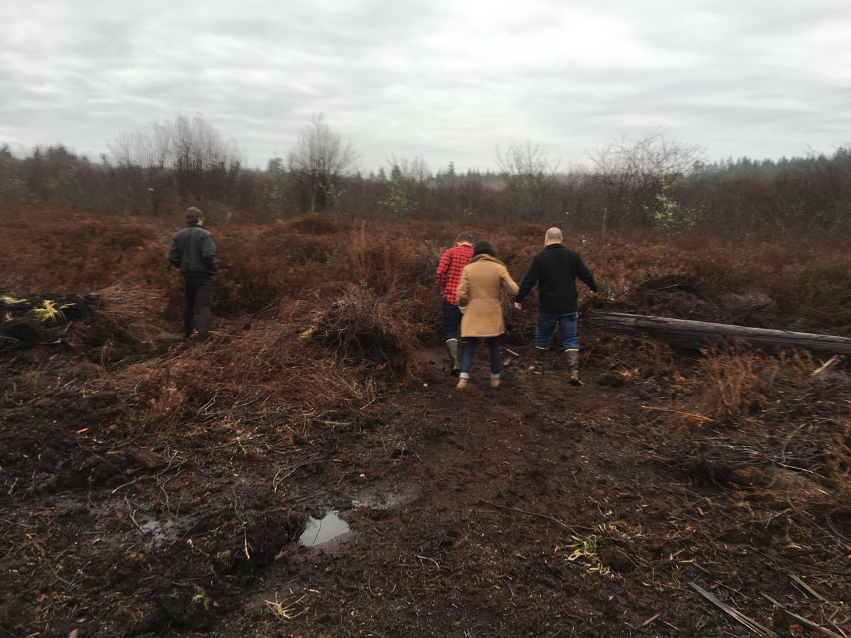 Cut peat and heather at a working bog in western Washington, figures crossing the ground for scale